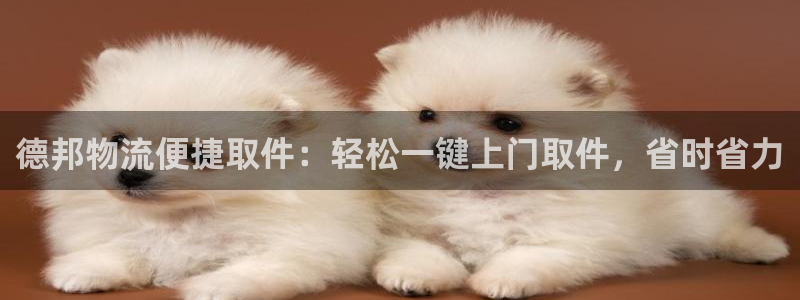 28圈官方版正版：德邦物流便捷取件：