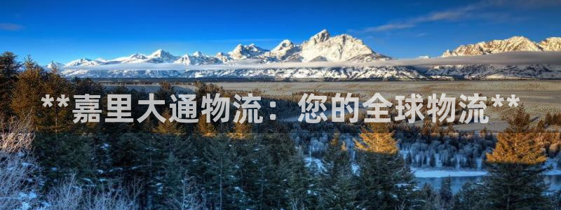 28圈是干嘛的：**嘉里大通物流：您