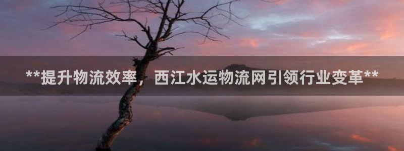 28圈.ccm2024：**提升物流