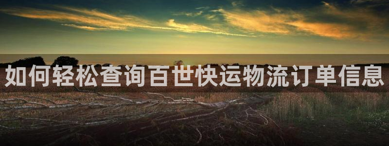 28圈官方官网版：如何轻松查询百世快