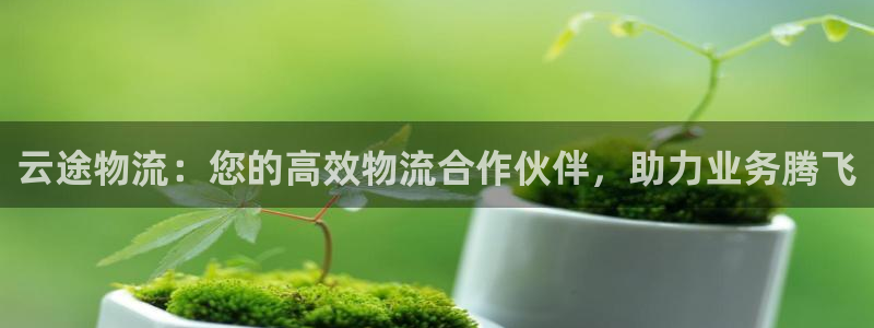 28圈app能退款吗：云途物流：您的