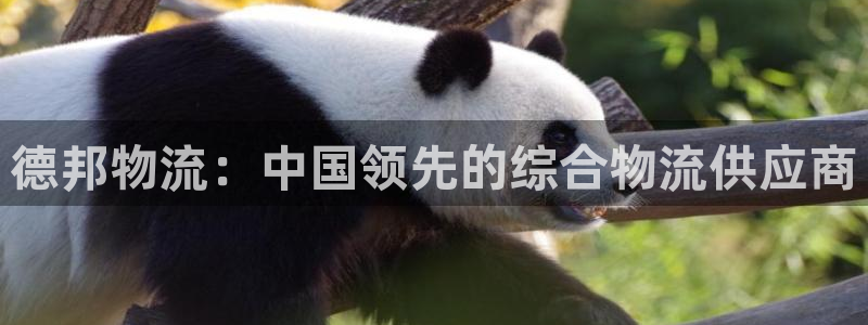 28圈APP是干什么的：德邦物流：中