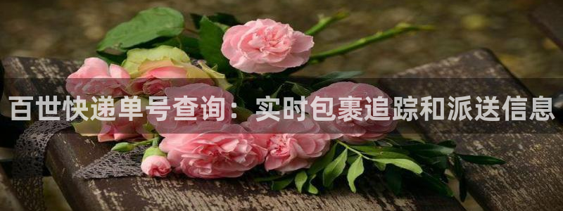 28圈预测：百世快递单号查询：实时包