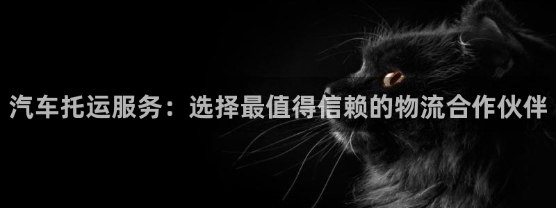 28圈推广链接是多少：汽车托运服务：