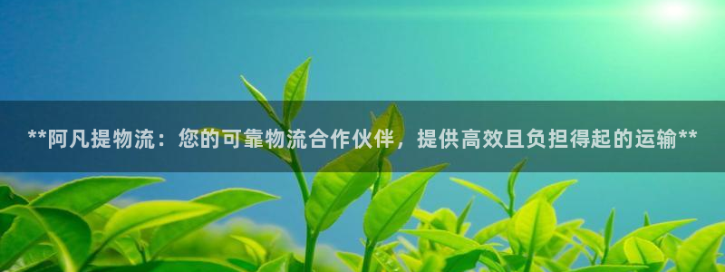 28圈加拿大28