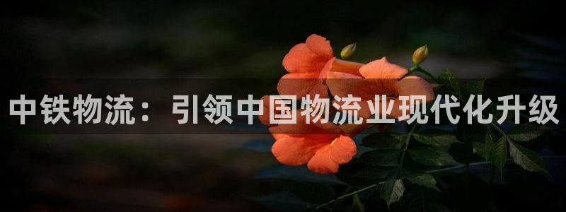 28圈口内径是多大：中铁物流：引领中