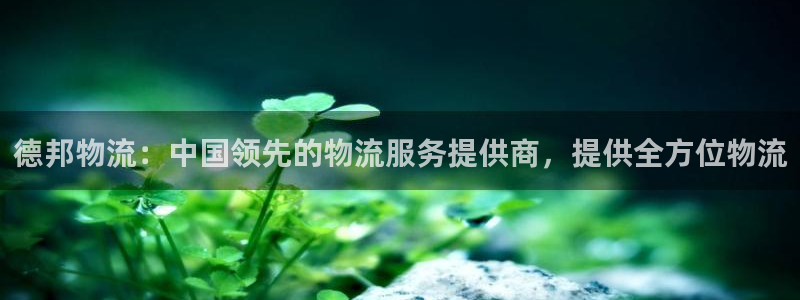 28圈分分压单双技巧：德邦物流：中国