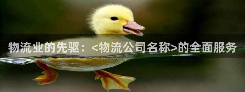 自行车28圈是什么意思：物流业的先驱
