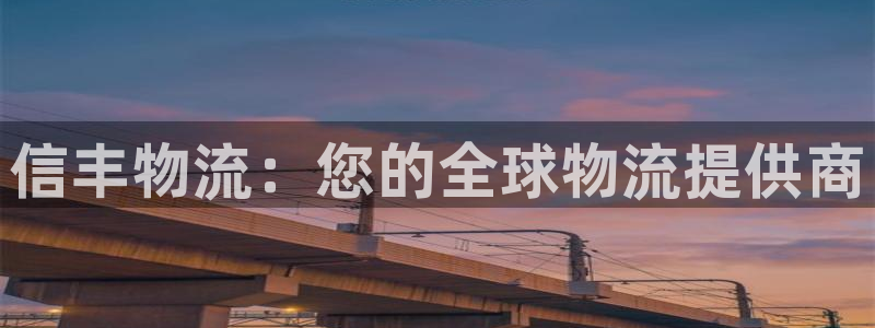 28圈ccm游戏：信丰物流：您的全球