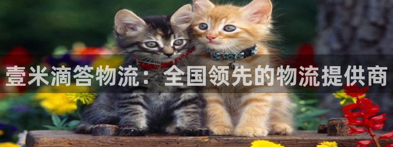 28圈防失联网址：壹米滴答物流：全国