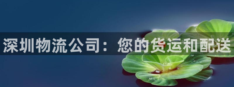 28圈娱乐官网网页入口