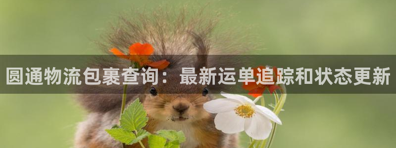 28圈app怎么注册账号：圆通物流包
