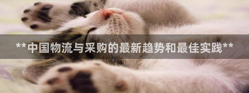 28圈网赌案件：**中国物流与采购的