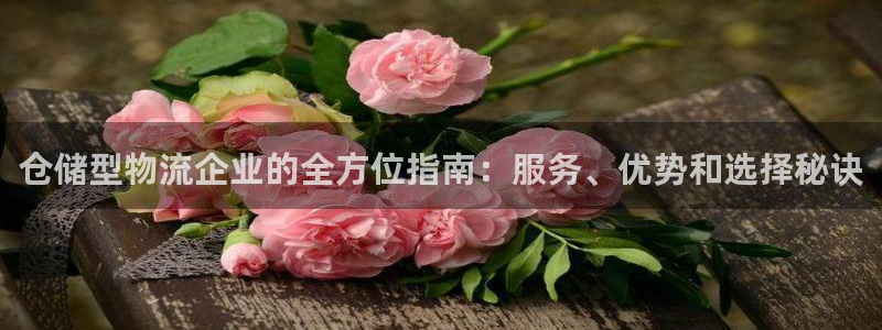 28圈怎么注册下载：仓储型物流企业的