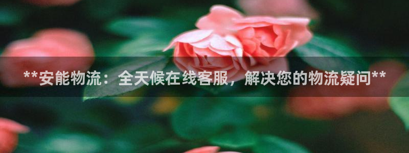 28圈.ccmapp：**安能物流：