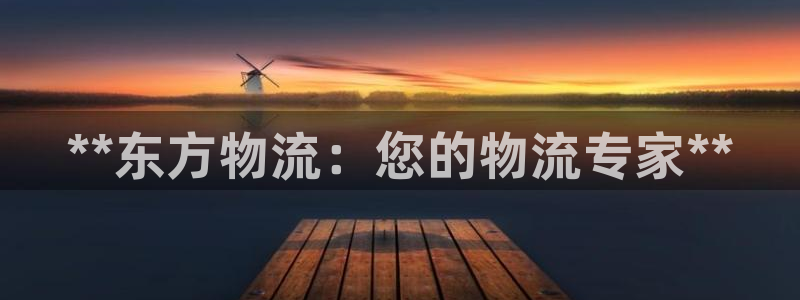 28圈官方网站是多少：**东方物流：