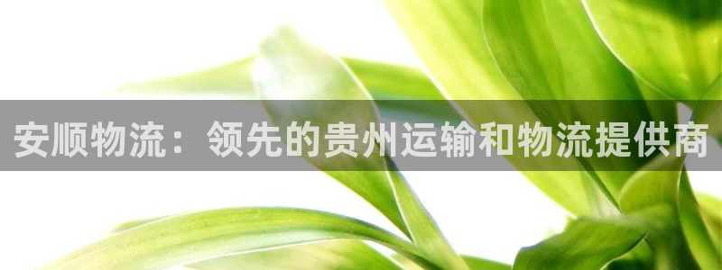 28圈注册地址：安顺物流：领先的贵州