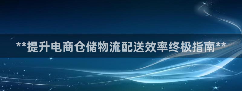 28圈是啥：**提升电商仓储物流配送
