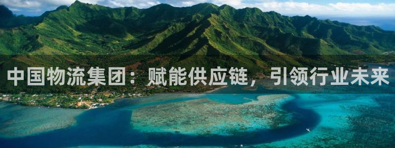 28圈v6能卖多少