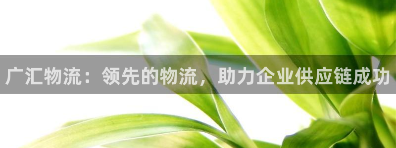 28圈p扣款什么意思