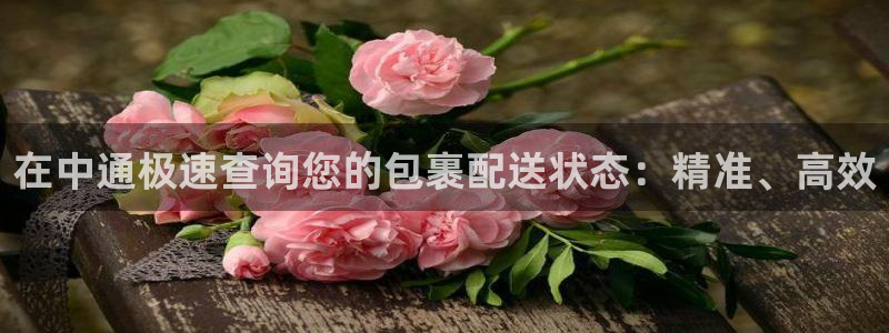 28圈app注册地址：在中通极速查询