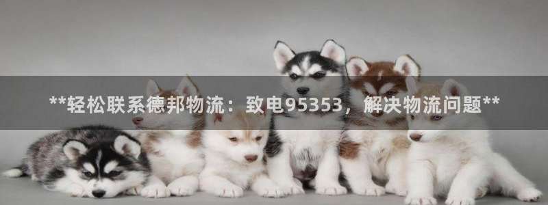 28圈黑钱：**轻松联系德邦物流：致