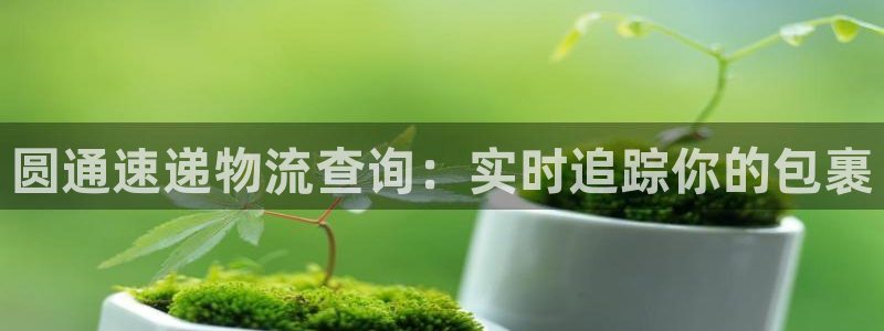 28圈p图上分下款通道：圆通速递物流