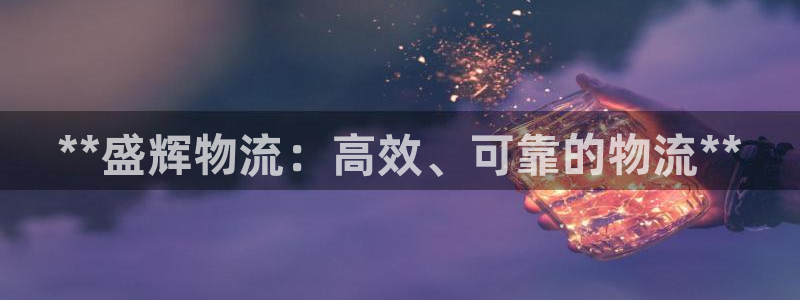28圈开奖预测：**盛辉物流：高效、