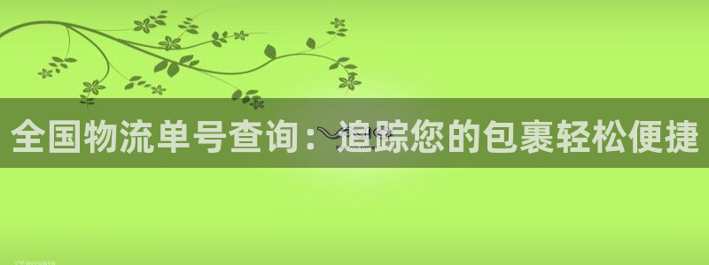 28圈pg麻将胡了：全国物流单号查询