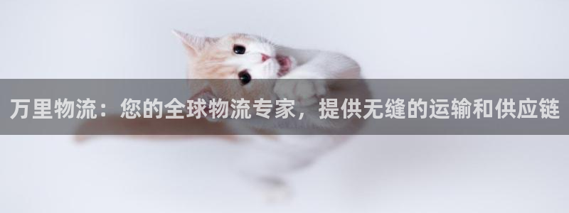 28圈官网预测