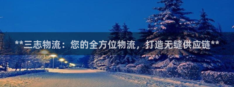 28圈怎么注册下载：**三志物流：您