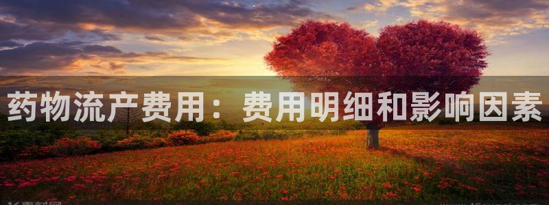 28圈.ccmpc28：药物流产费用