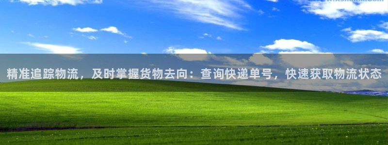 28圈注册网站多少钱：精准追踪物流，