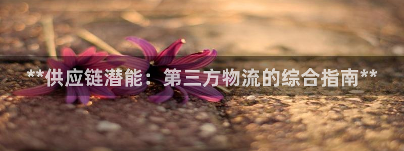 28圈注册二维码：**供应链潜能：第