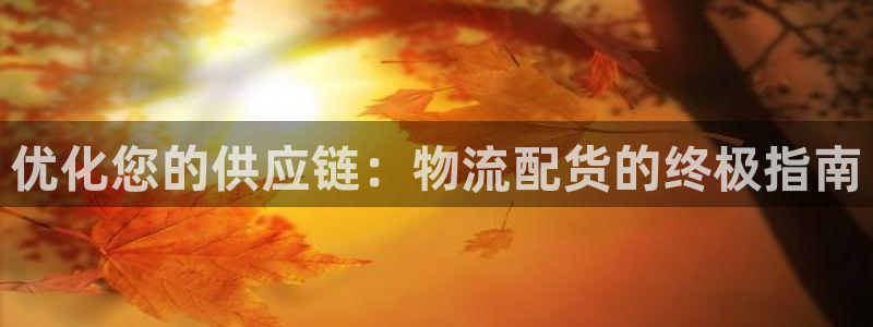 28圈忘记账号