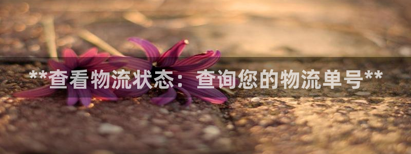 28圈模拟器在线使用：**查看物流状