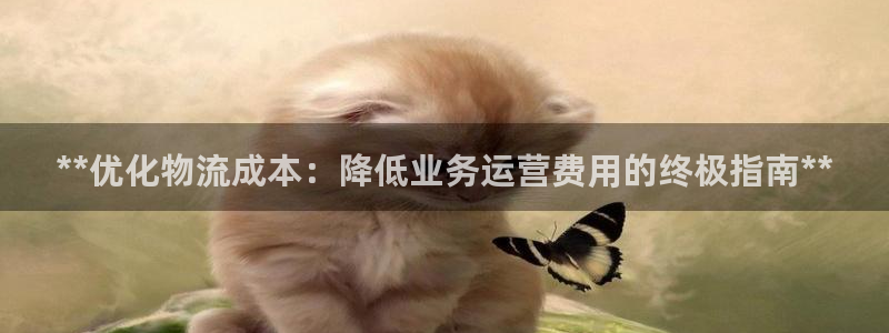 28圈.ccm2024