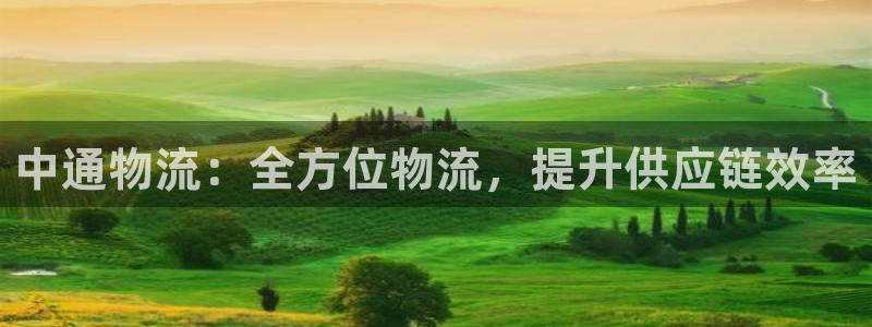 28圈游戏链接