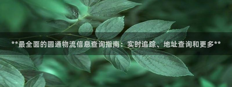 28圈反水