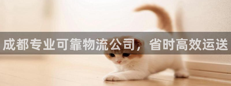 28圈登陆网：成都专业可靠物流公司，