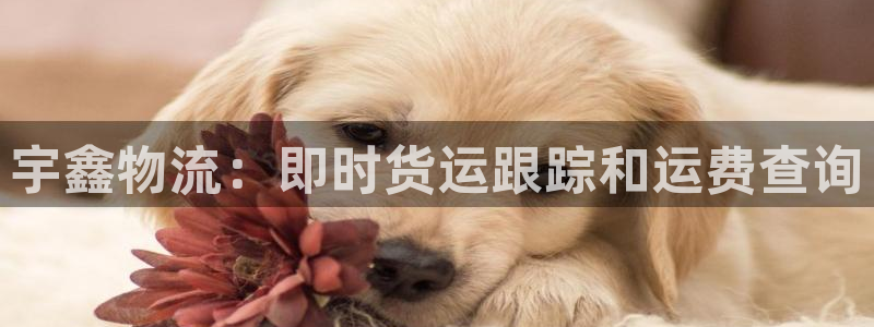 28圈注册网站链接：宇鑫物流：即时货