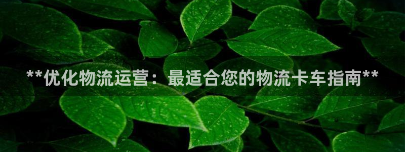28圈那个才是充值账号：**优化物流