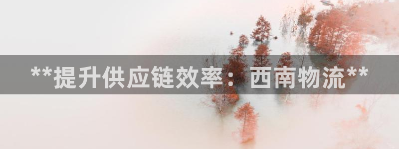 28圈注册上限是啥意思：**提升供应