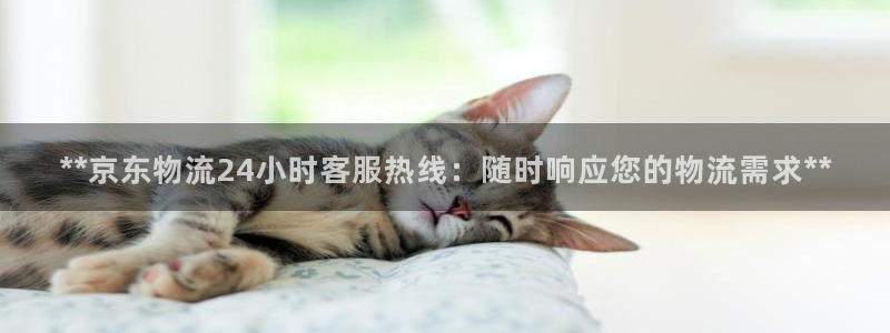 28圈最稳打法