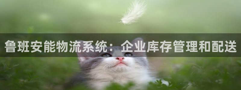 28圈网赌有什么风险