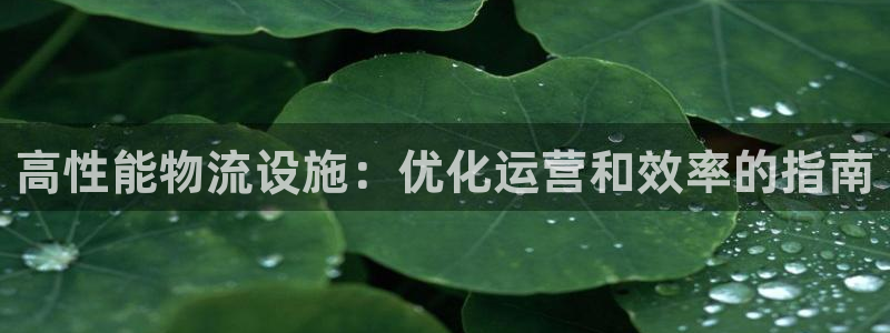 28圈黑款：高性能物流设施：优化运营