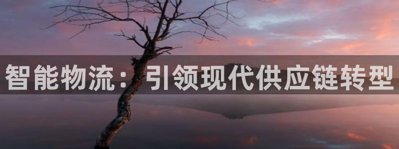 28圈充值不处理