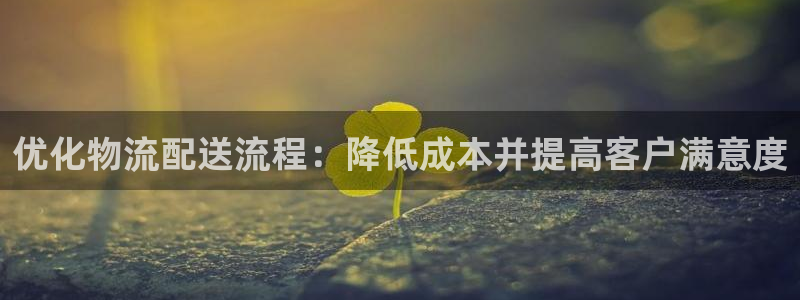 28圈注册网站谁有：优化物流配送流程