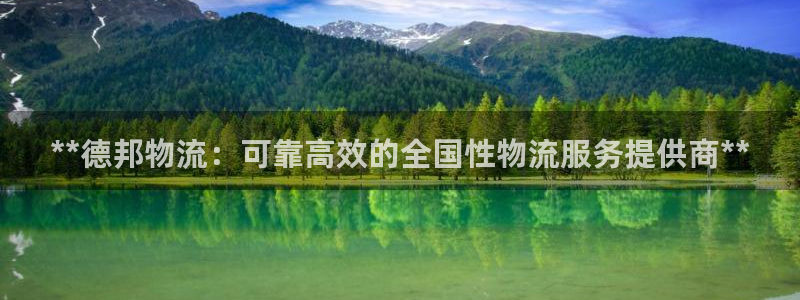 28圈电子：**德邦物流：可靠高效的