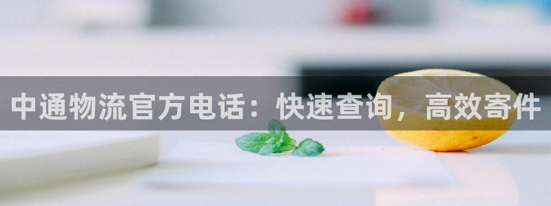 28圈加拿大最新版